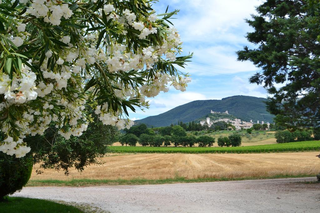 Camere I Monelli Assisi Exteriér fotografie