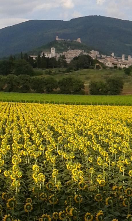 Camere I Monelli Assisi Exteriér fotografie