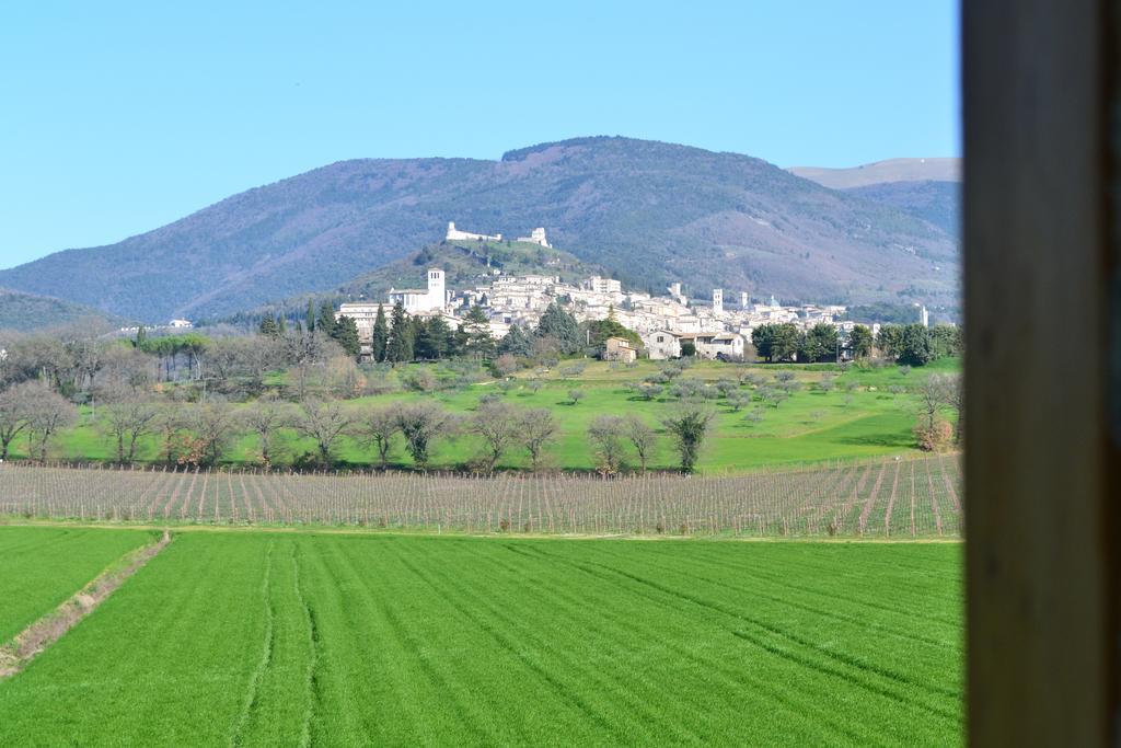 Camere I Monelli Assisi Exteriér fotografie